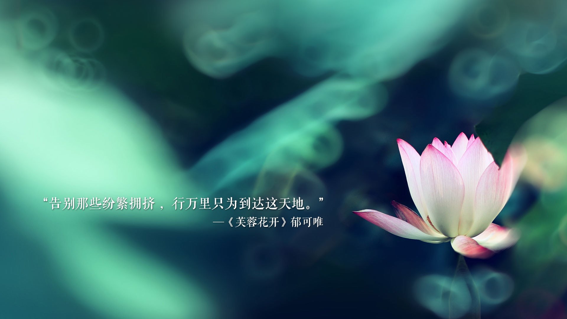 中国三人篮球女队加强防守反击连贯性，中国女子三人篮球球员