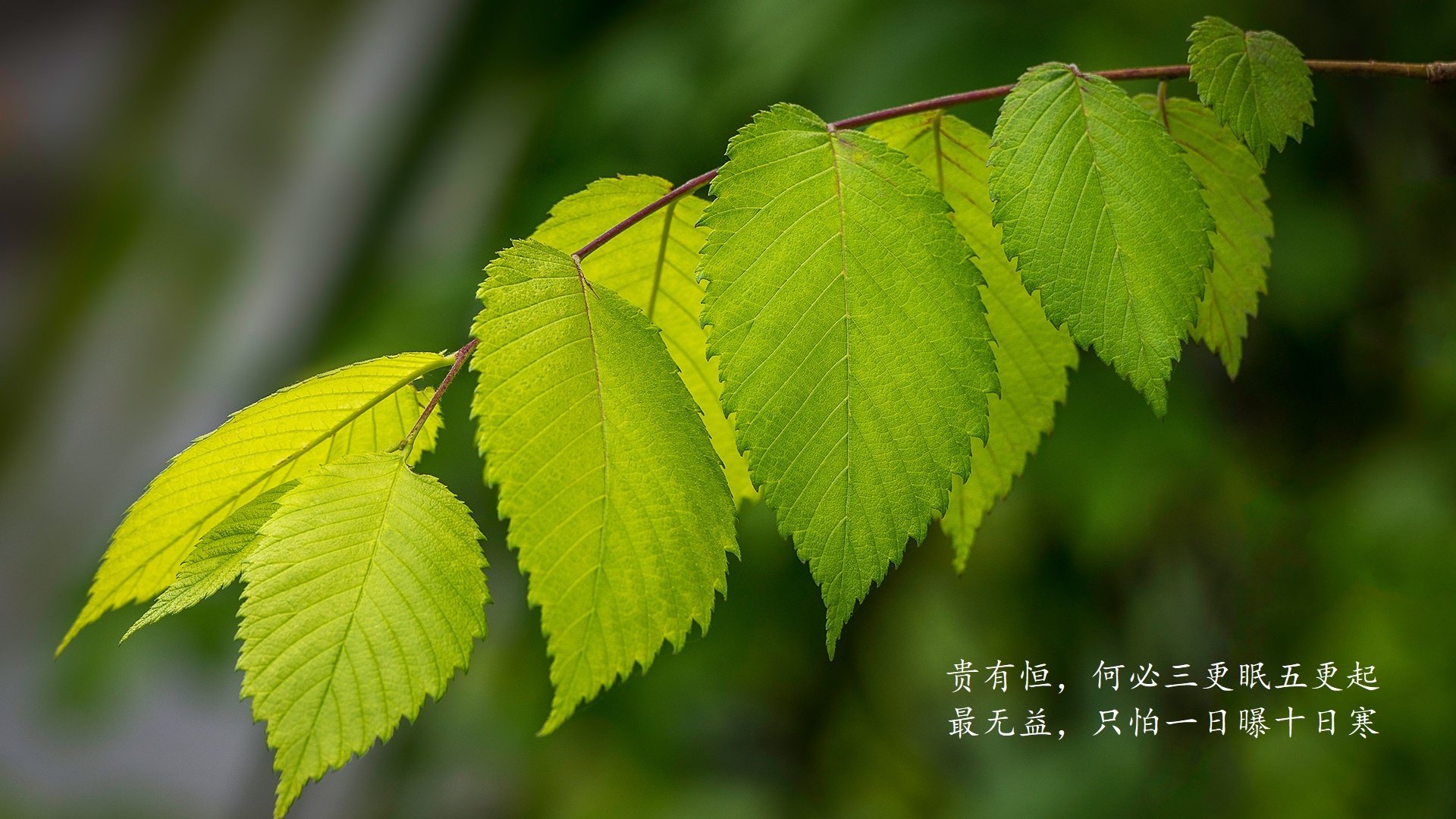 中小学体育教师技能展示大赛落幕，中小学体育教师基本功大赛