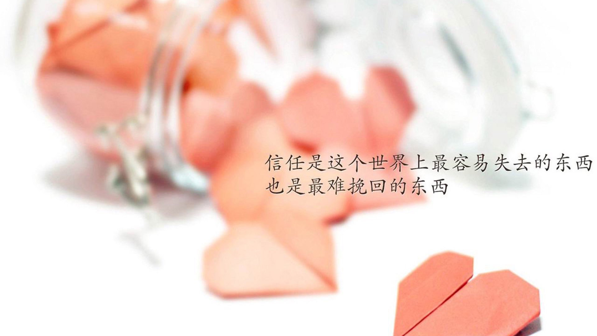 “裁判幕后：鲜为人知的判罚细节”，裁判的话