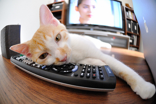 史上最“炫酷”的长距离三分：库里在对爵士比赛中投出41英尺的绝杀！