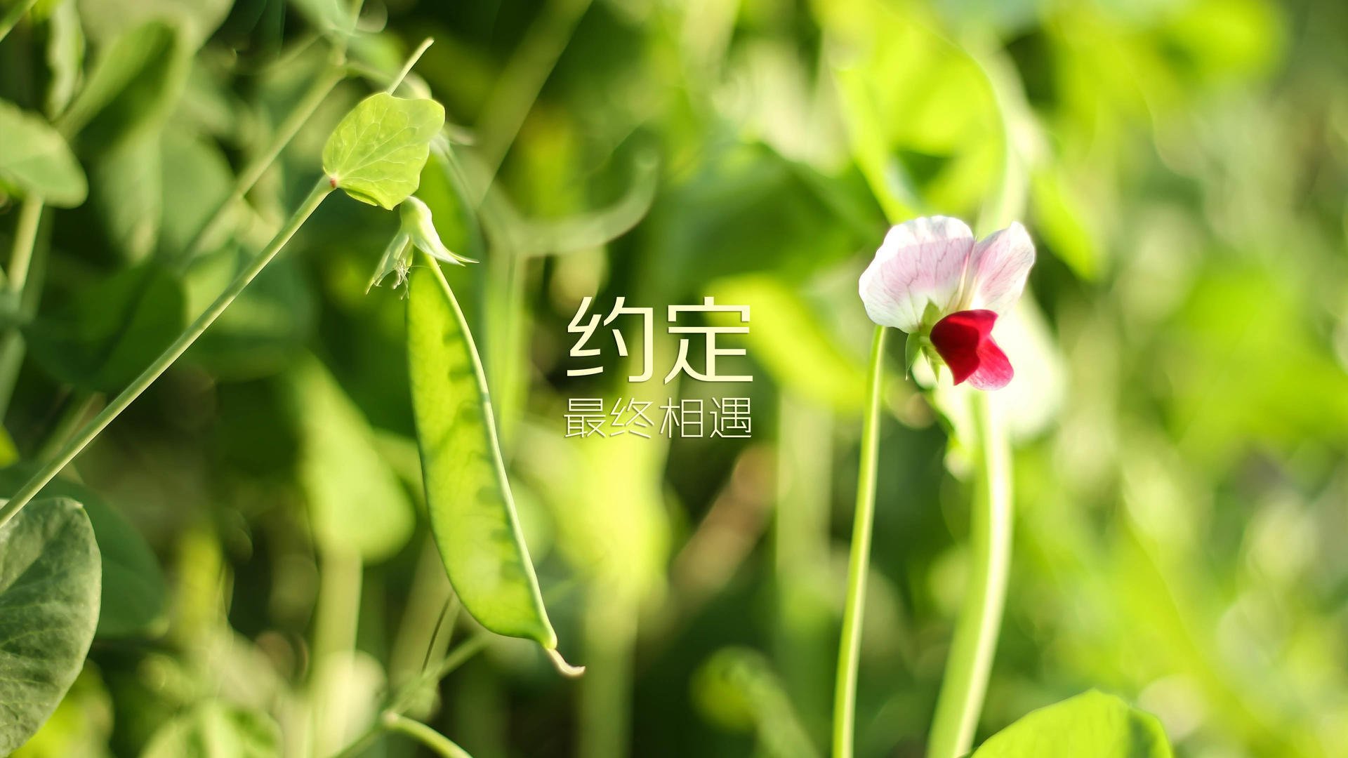 九游娱乐(jiuyou)官方网站-克罗地亚马术协会举办马匹护理培训班，提高骑手护理技能。