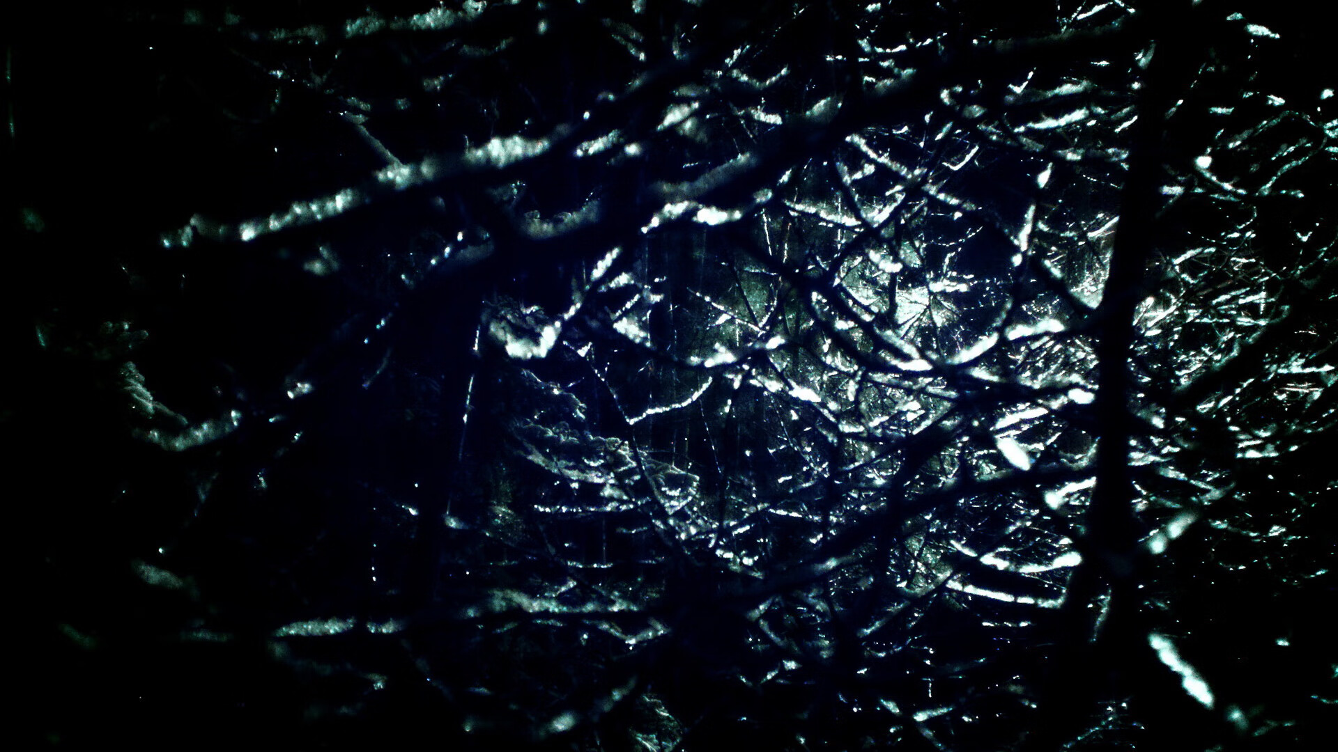 多特蒙德在主场击败对手,积分榜上升至第二位,多特蒙德主力阵容2021