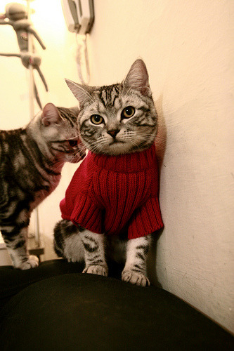 尼姆客场不敌对手，遗憾失去领先优势，尼姆vs尼奥尔比分预测