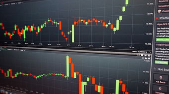 九游APP官网-高校体育课程国际比较分析，国内高校体育课程现状