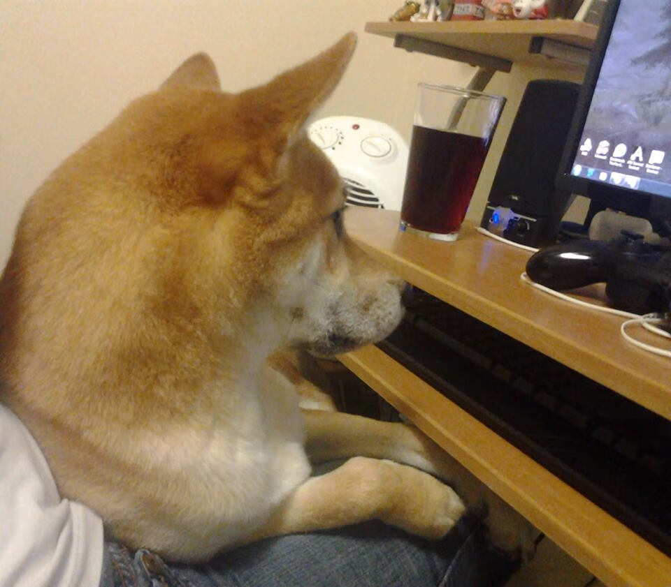 九游娱乐(jiuyou)官网-五大联赛赛季末冲刺阶段替补体能分配策略，新赛季五大联赛换人名额