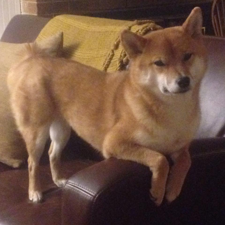 九游登录中心-全运会赛事筹备步入关键阶段，全运会已开赛项目