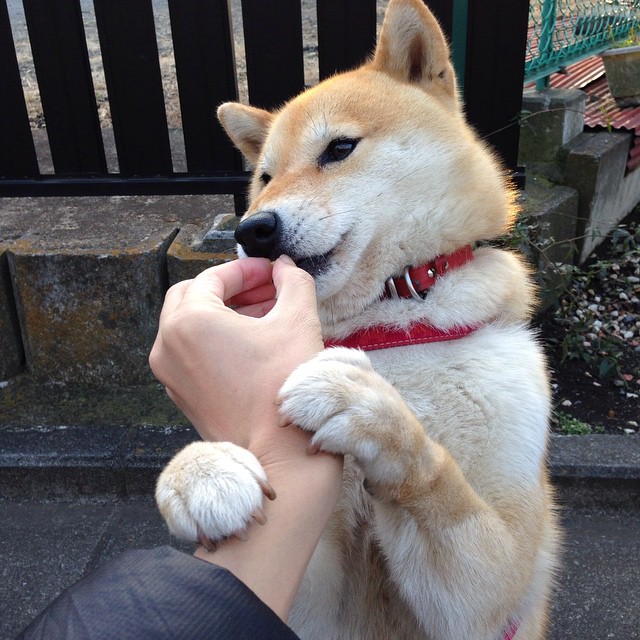 赛事组织者培训班增加危机管理课程,赛事组织机构