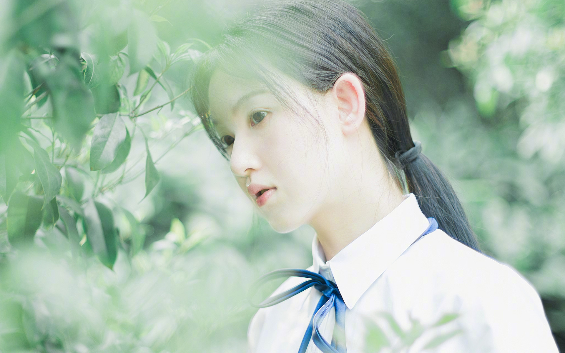 科斯用坚持和努力书写辉煌篇章，科斯的书